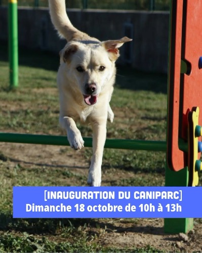 Avis Lieux pet-friendly Promenades Cani’Parc De Vidauban VIDAUBAN