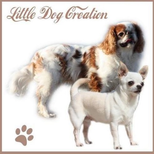 Avis Accessoires Univers du chien, du chat	 Little Dog Création LEZIGNAN-LA-CEBE