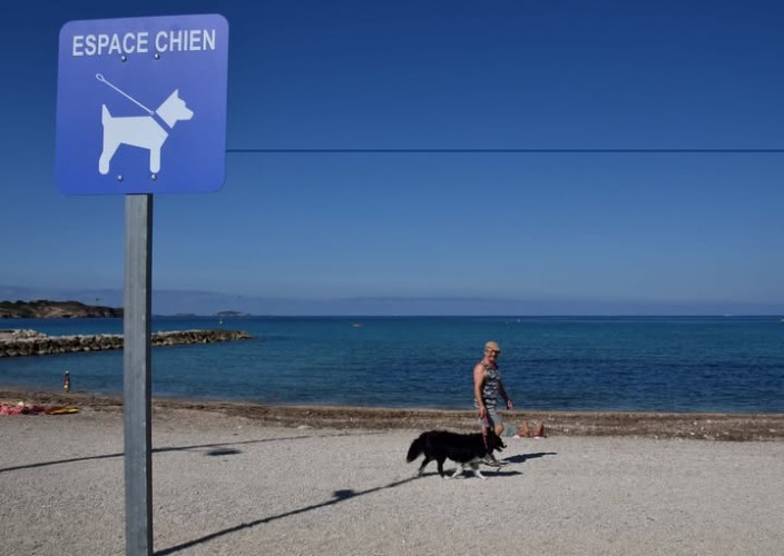 Avis Lieux pet-friendly Plages Plage De Bonnegrace - Brutal Beach SIX-FOURS-LES-PLAGES