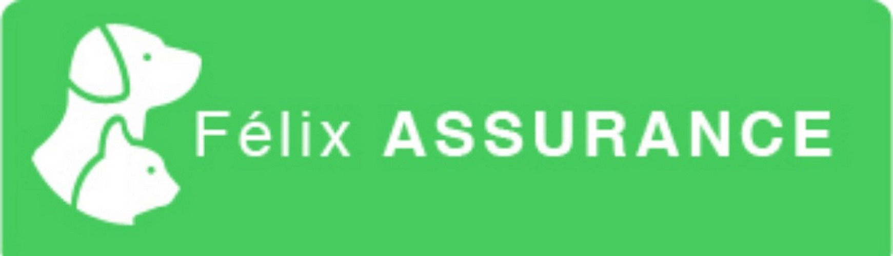 Photo de Félix Assurance