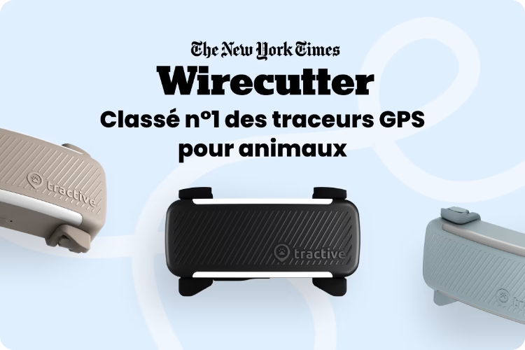 Photo de Collier Traceur Tractive Gps Dog 6