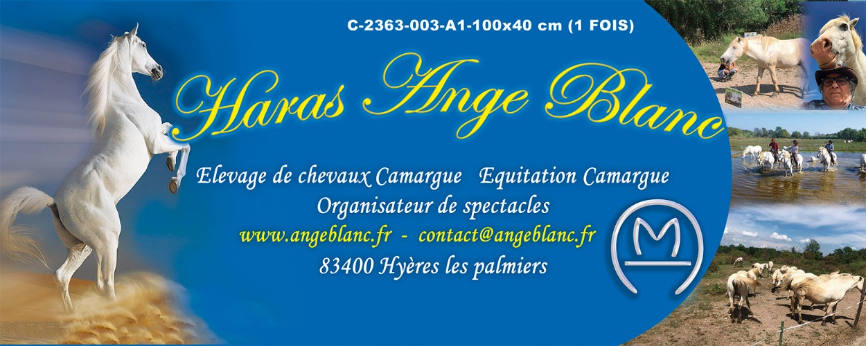 /contenu/177J230n9196C25255qp158167419132/1.jpg