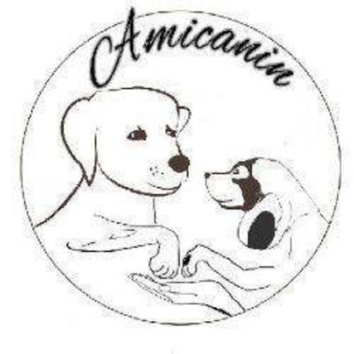 Avis Education Clubs canins Amicanin BEUZEVILLE