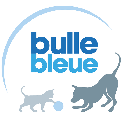 Photo de Bulle Bleue