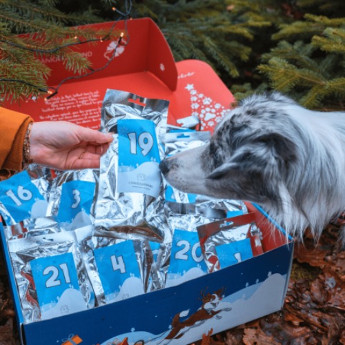 Photo de Canigourmand - Calendrier De L'avent Géant Noël