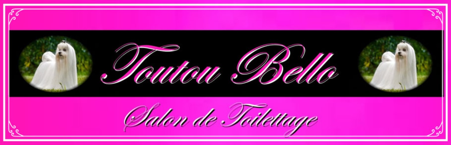 Avis Toiletteurs Chiens et chats Toutou Bello LA CIOTAT