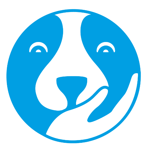 Avis Education Educateurs Chiens, Chats, Autres) Guide Ses Pattes PONT-D