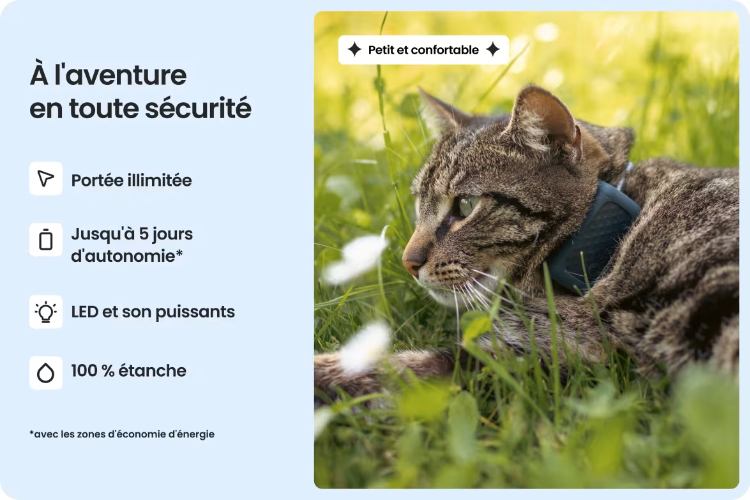 Photo de Collier Connecté Pour Chats Cat Mini