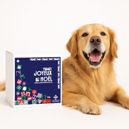 Photo de La Compagnie Des Animaux - La Moustache Box De Noël 2025 - Moyen & Grand Chien