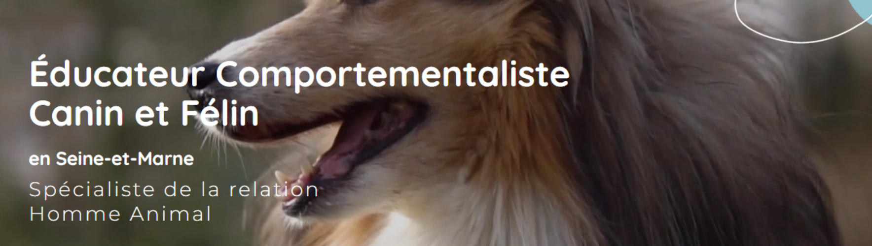 Avis Education Comportementalistes canins, félins Nmj Éducateur Comportementaliste Canin Et Félin CHARTRETTES