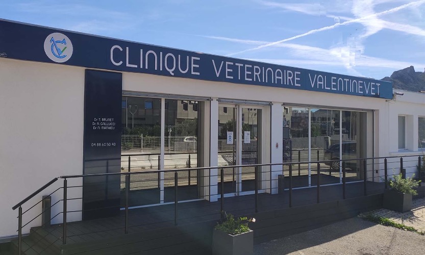Valentinevet