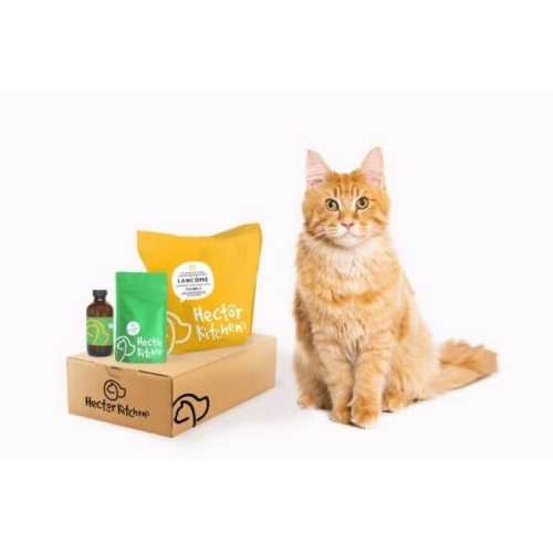 Photo de Croquettes pour chats Hector Kitchen : premium et surmesure