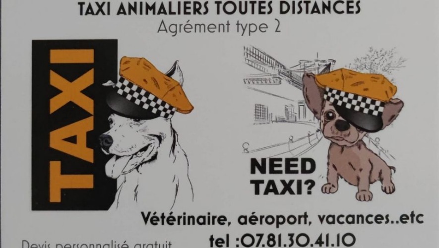 Avis Garde d