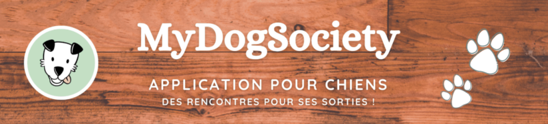 Photo de Mydogsociety