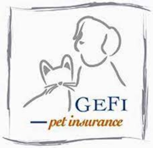 Photo de Gefi Pet Insurance