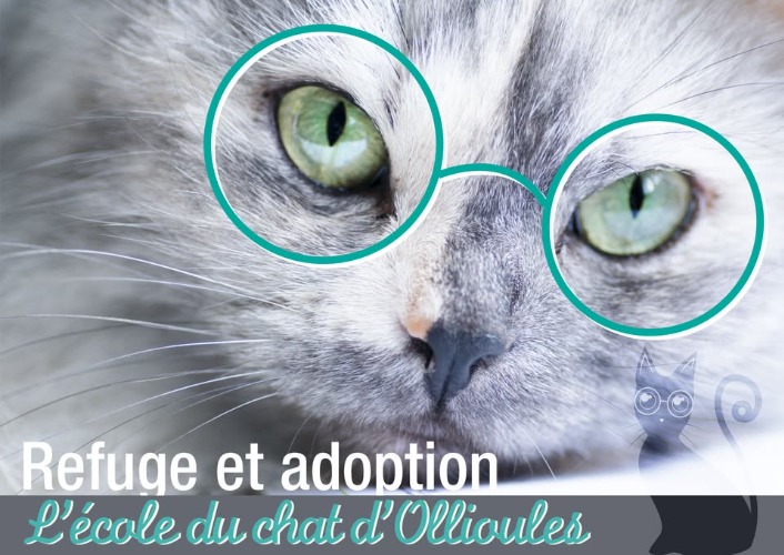 Avis Refuges et adoptions Autres refuges L