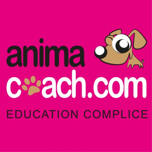 Avis Education Comportementalistes canins, félins Animacoach Education Complice CHAPONOST