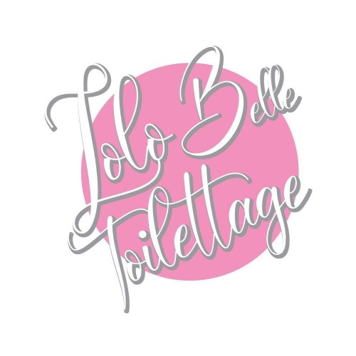 Avis Toiletteurs Chiens et chats Lolo Belle Toilettage ROQUEFORT-LA-BEDOULE