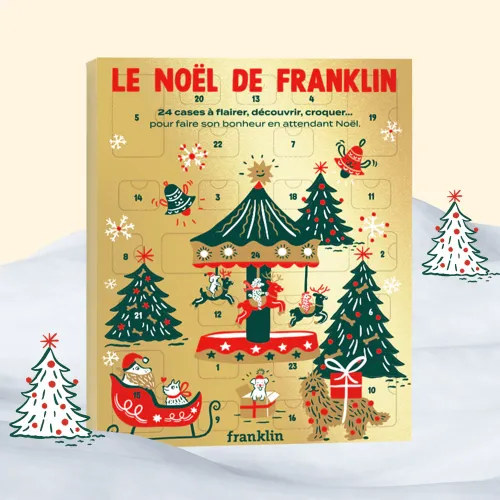 Photo de Le Noël De Franklin