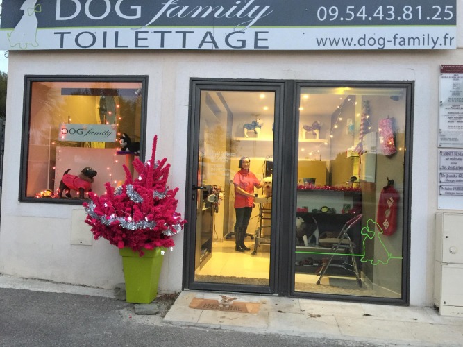 Avis Toiletteurs Chiens et chats Dog Family LA CIOTAT