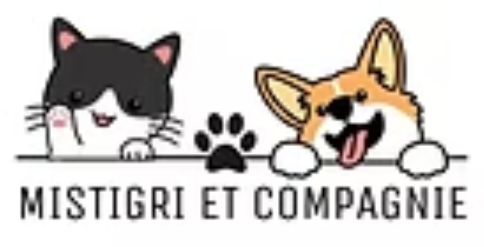 Avis Garde d