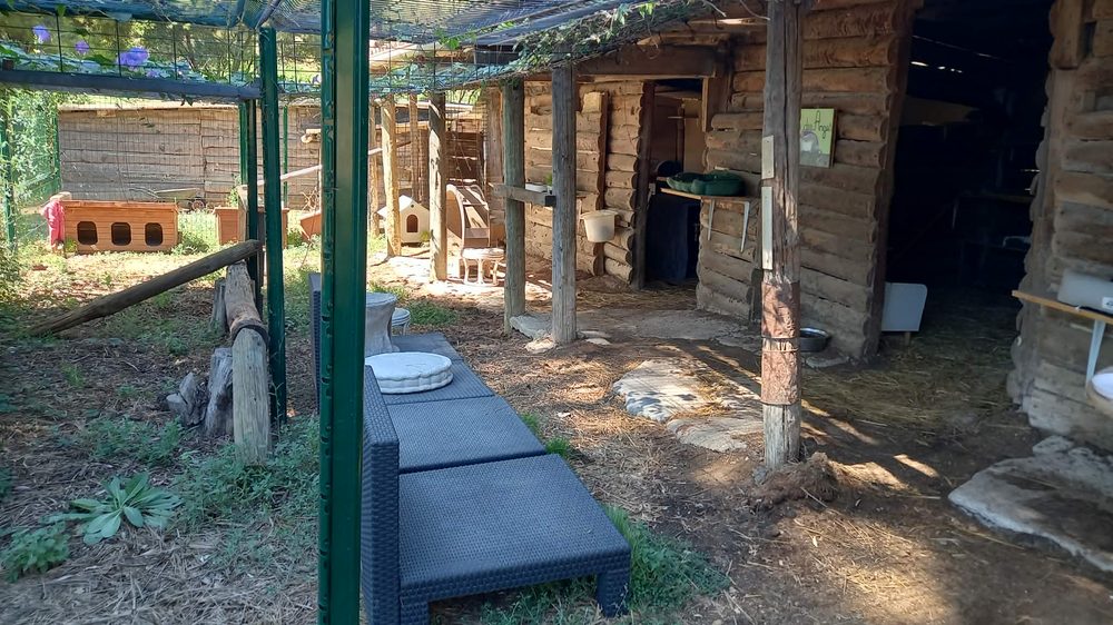 Vue extérieure de la chatterie, murs en rondins de bois, avec son enclos