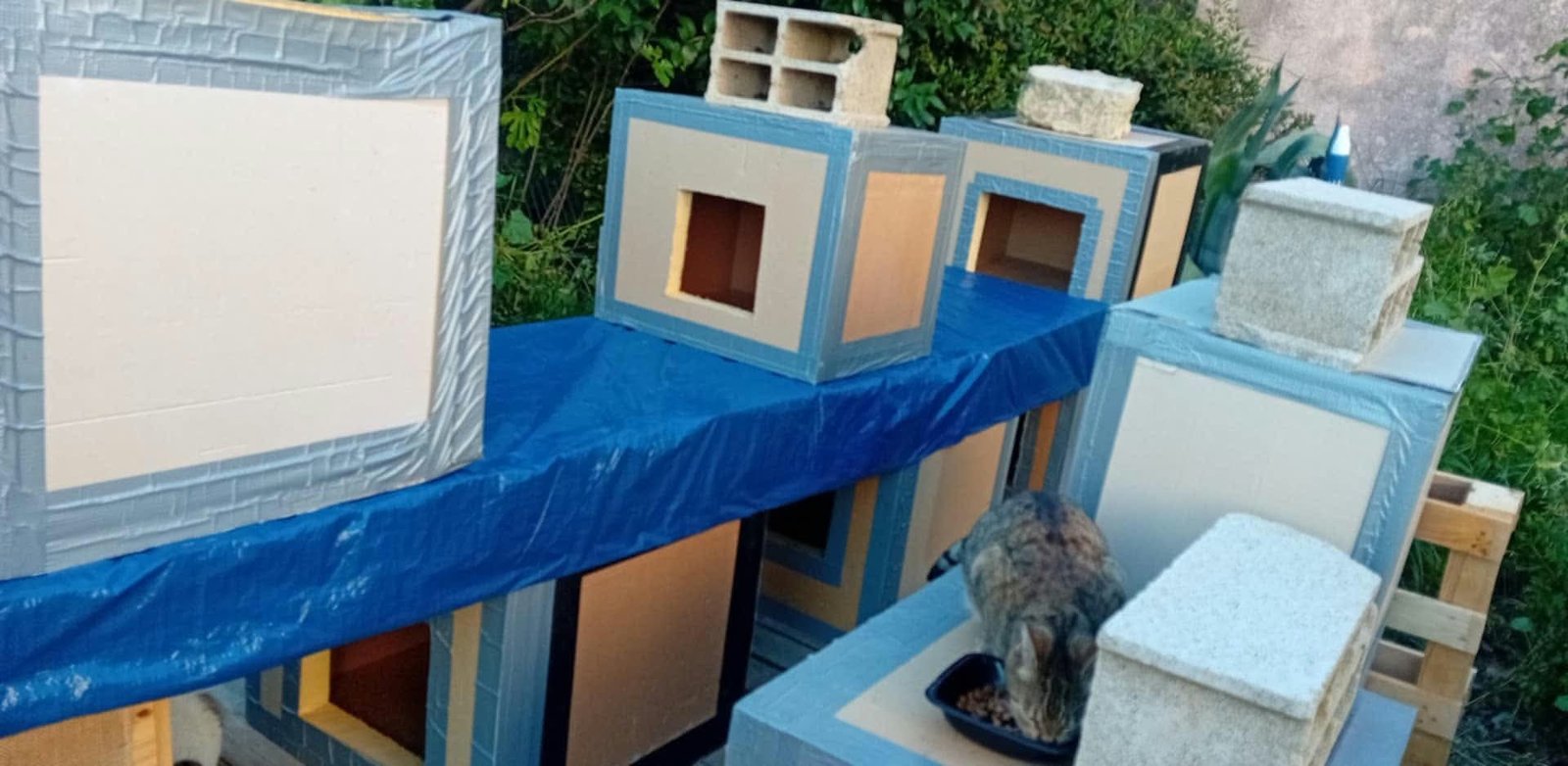 Rangée d'abris faits main pour chats, sous une bâche bleue